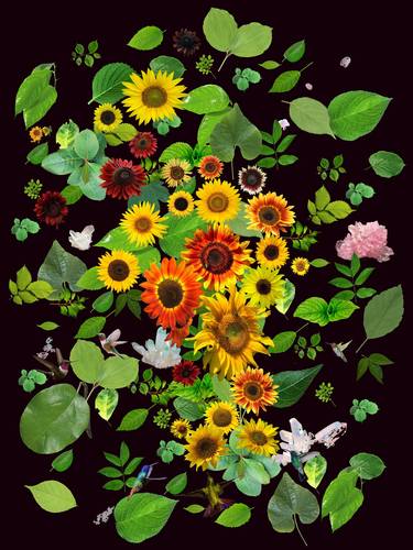 Sunflower Garden III (Classic Brown) - Limited Edition of 7 thumb