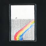 Sunflower by a Rainbow Shadow by Clara McClenon