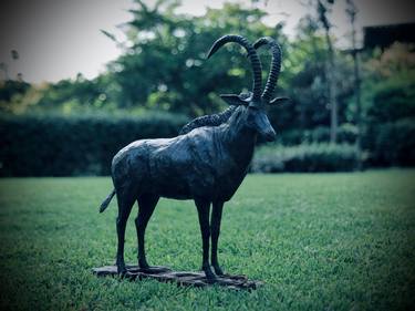 Original Figurative Animal Sculpture by Jonathan Parkinson