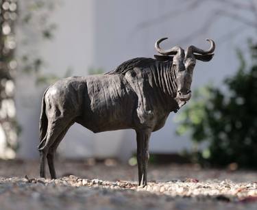 Original Modern Animal Sculpture by Jonathan Parkinson