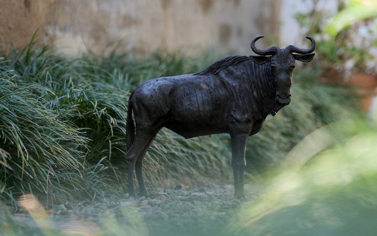 Original Modernism Animal Sculpture by Jonathan Parkinson