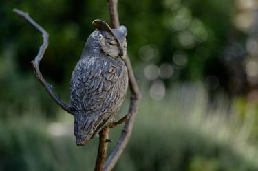 Scops Owl sleeping (life size) thumb