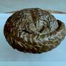 Pangolins themselves inspired the work, using the lost wax method to make a bronze sculpture. Each scale individually applied using a double Phi spiral - which occurs so frequently in nature. These are shy and gentle creatures hunted by man for their highly prized Pangolin scales, rendering all 8 species endangered.