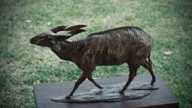 Original Animal Sculpture by Jonathan Parkinson