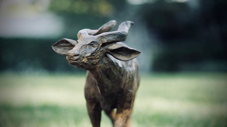 Original Figurative Animal Sculpture by Jonathan Parkinson