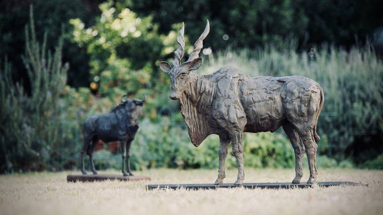 Original Realism Animal Sculpture by Jonathan Parkinson