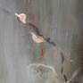 view additional image 4