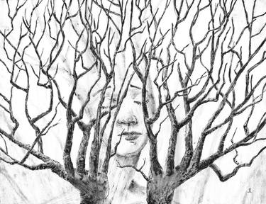 Print of Figurative Tree Drawings by Jennifer S Lange