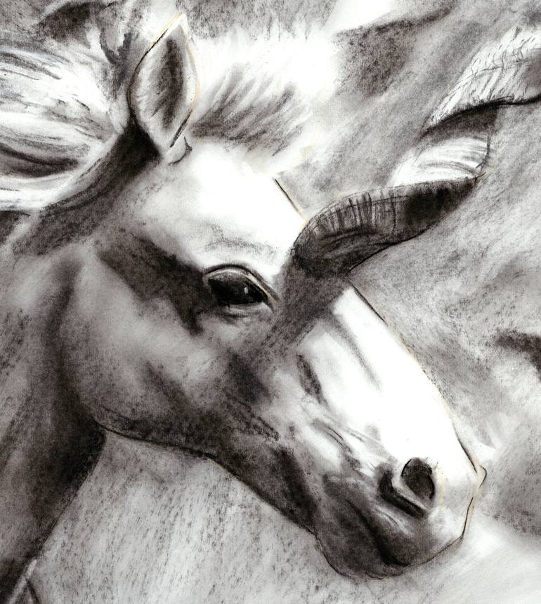 Original Horse Drawing by Jennifer S Lange