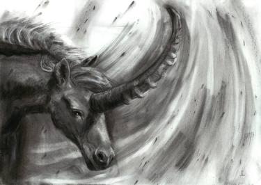 Print of Figurative Horse Drawings by Jennifer S Lange