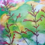Hummingbird's Dream by BRENDA HANCE
