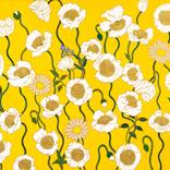 Collection Best of October