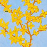 Collection Spring Flora & Fauna