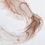 Espresso splash by Polina Vigandt