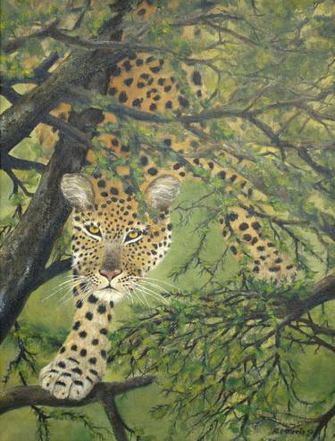 Tree Leopard thumb