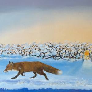 Fox on patrol