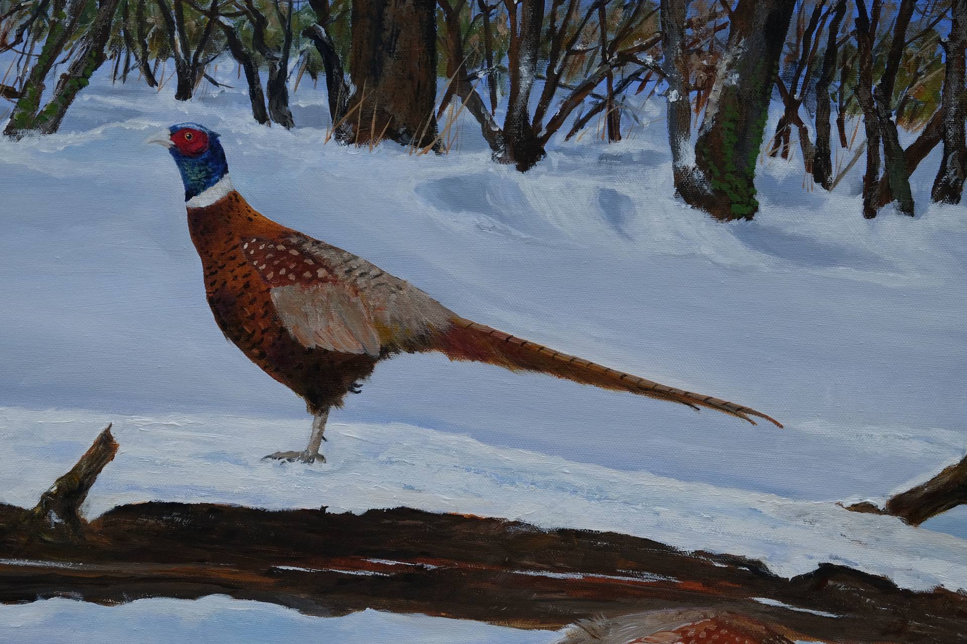Image result for winter pheasant painting