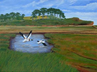 Shelducks over the Otter Estuary thumb