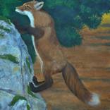 Fox on the run by Richard Morris