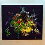 Frequencies of Essence by Laura Iosifescu