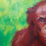 The red ape behind the green, detail 1