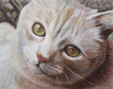 Print of Cats Paintings by Daniel Dacio