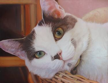 Original Realism Cats Paintings by Daniel Dacio