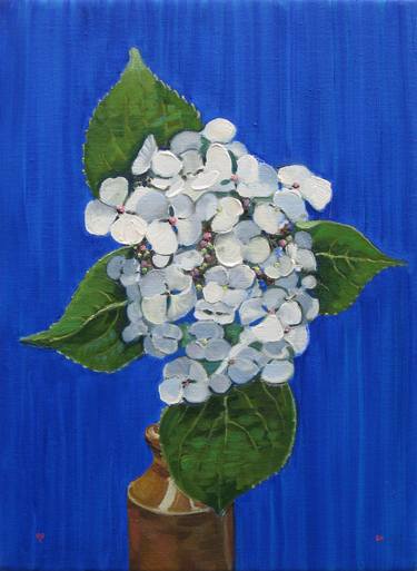 Hydrangea (1) thumb