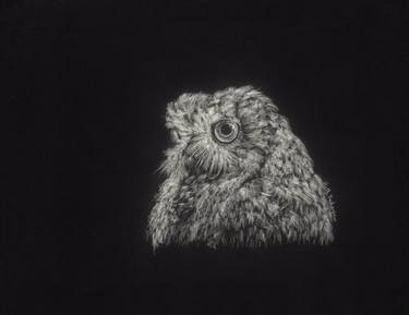 Print of Fine Art Animal Drawings by Ruth Yasharpour