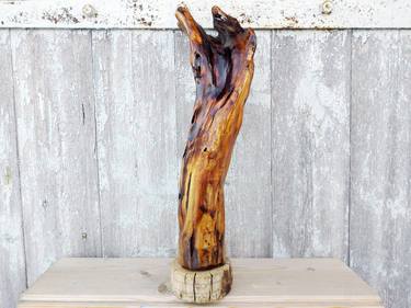 Abstract tabletop decor Wood branch sculpture Modern art sculpture Table decor Wooden artwork thumb