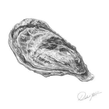 Oyster 1 thumb