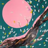 Collection Color Story: Contrast