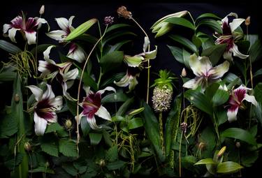 Original Fine Art Botanic Photography by Benn Storey