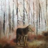Wilderness by dagmar Hrickova