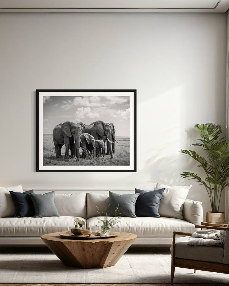 Original Black & White Animal Photography by Steele Burrow