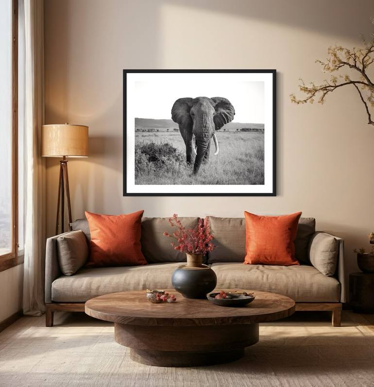 Original Black & White Animal Photography by Steele Burrow