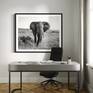 30x40 Print with Added Frame
