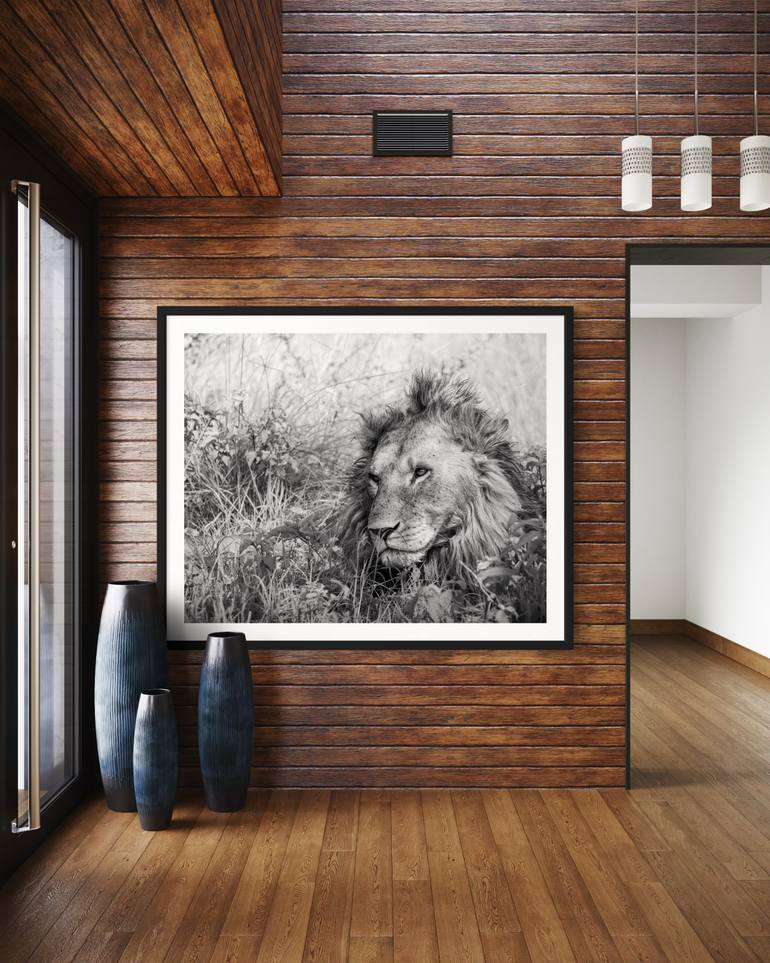 Original Black & White Animal Photography by Steele Burrow