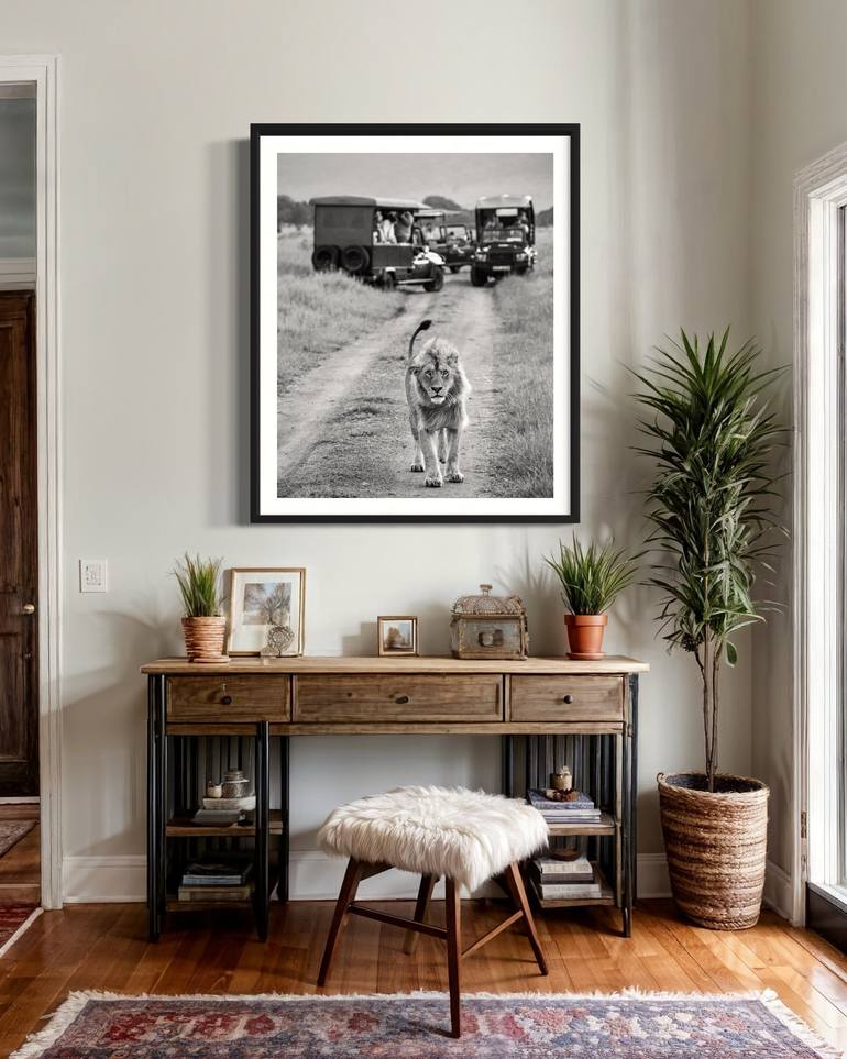 Original Black & White Animal Photography by Steele Burrow