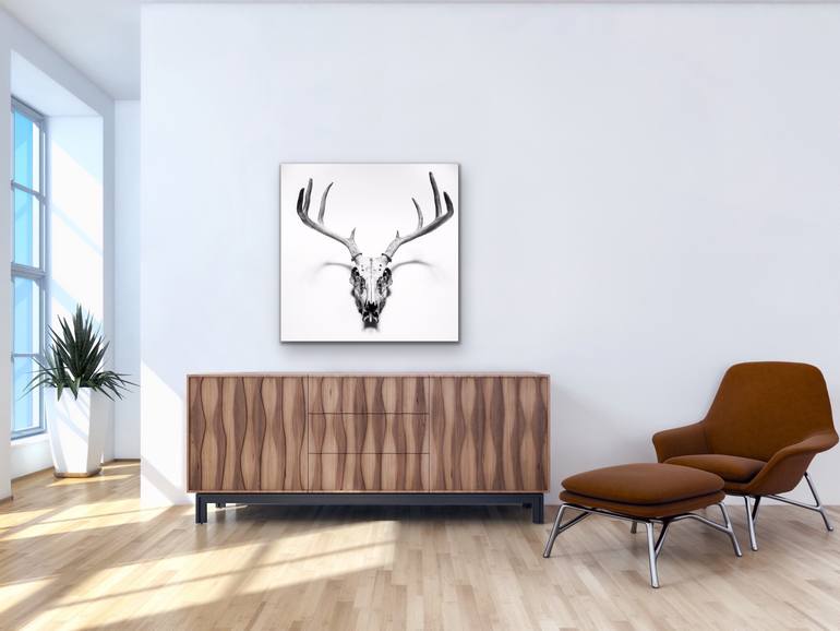 Original Documentary Animal Photography by Steele Burrow