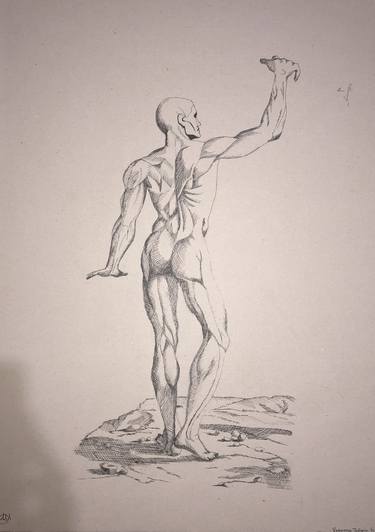 Original Figurative Men Drawings by Valentina Tufano