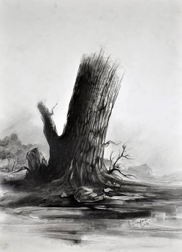 Print of Tree Drawings by mano k