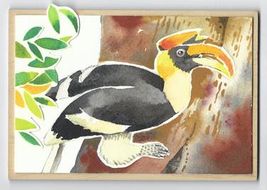 Hornbill Watercolor thumb