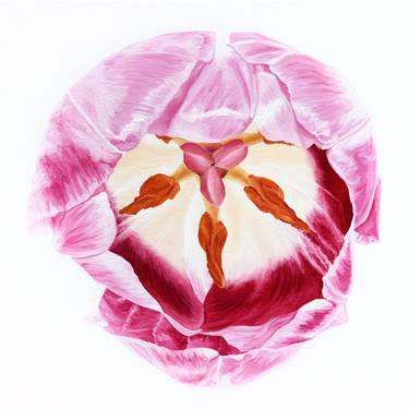 Print of Fine Art Floral Paintings by Sabine Siewert