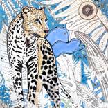 The Sounds of The Jungle by Paola Gonzalez