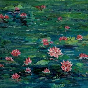 Collection Waterlilies