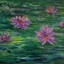 Collection Waterlilies