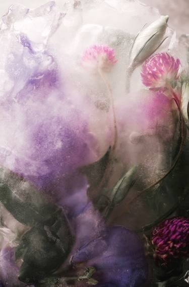 Print of Floral Photography by CHUAN CHENG CHOU