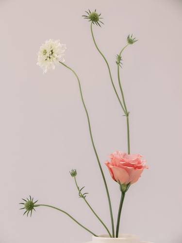 Original Art Deco Floral Photography by CHUAN CHENG CHOU