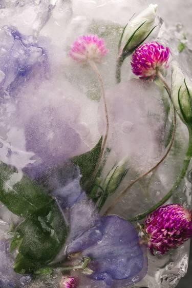 Original Abstract Floral Photography by CHUAN CHENG CHOU